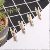 Mini Pegs Kaisercraft LDB1052 Pack of 100