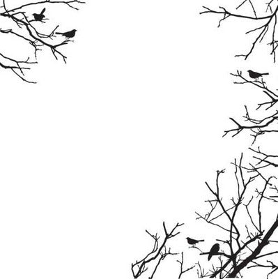 Acetate Kaisercraft - Specialty Acetate - Twig